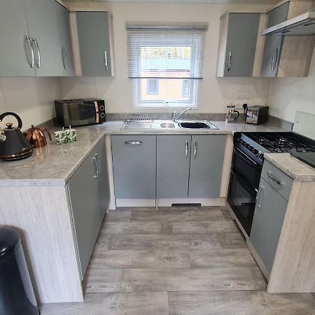 Llanina The Ceredigion - Plot 26, Woodlands Lodge Retreat, New Quay, West Wales المظهر الخارجي الصورة