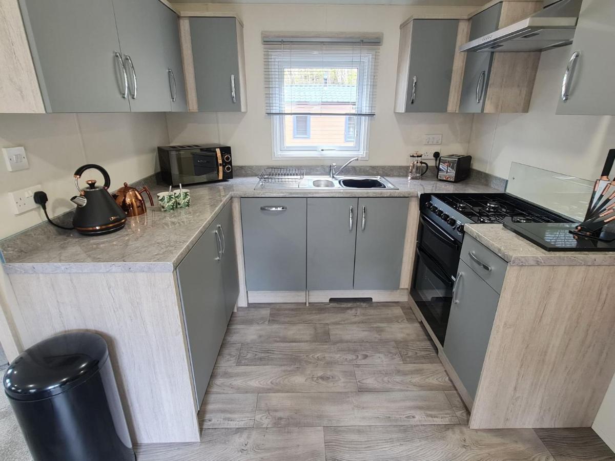 Llanina The Ceredigion - Plot 26, Woodlands Lodge Retreat, New Quay, West Wales المظهر الخارجي الصورة
