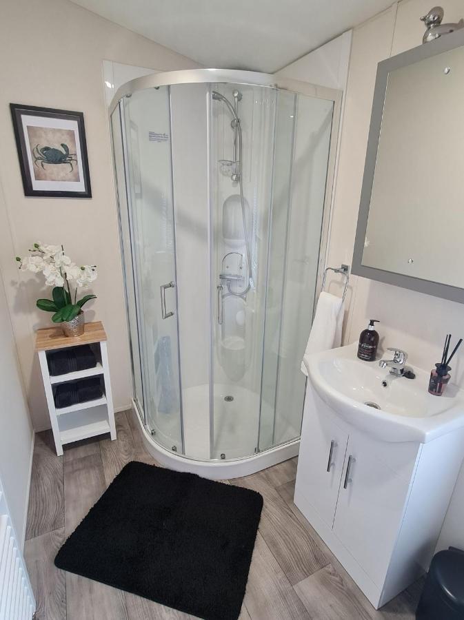 Llanina The Ceredigion - Plot 26, Woodlands Lodge Retreat, New Quay, West Wales المظهر الخارجي الصورة